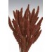 SETARIA  24" Chocolate- 